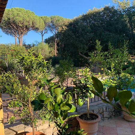 Sous Les Pins Parasols Vidauban Exterior photo