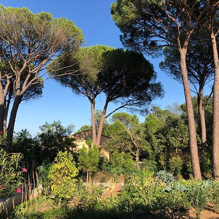 Sous Les Pins Parasols Vidauban Exterior photo