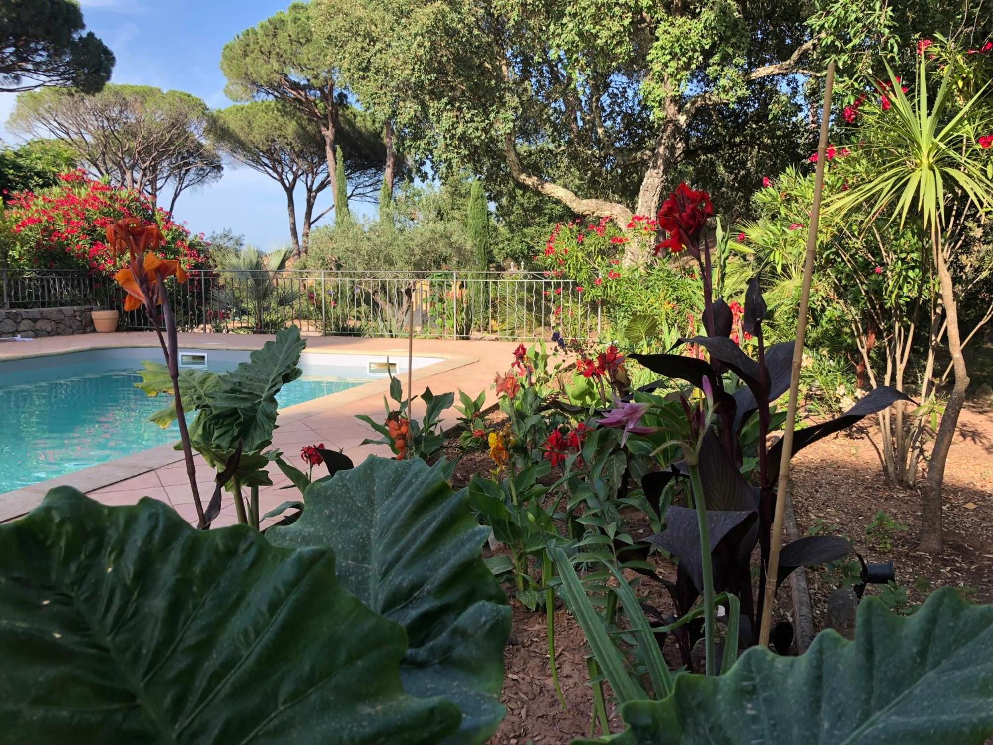 Sous Les Pins Parasols Vidauban Exterior photo