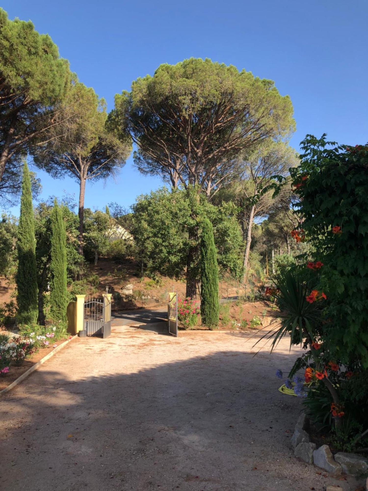 Sous Les Pins Parasols Vidauban Exterior photo