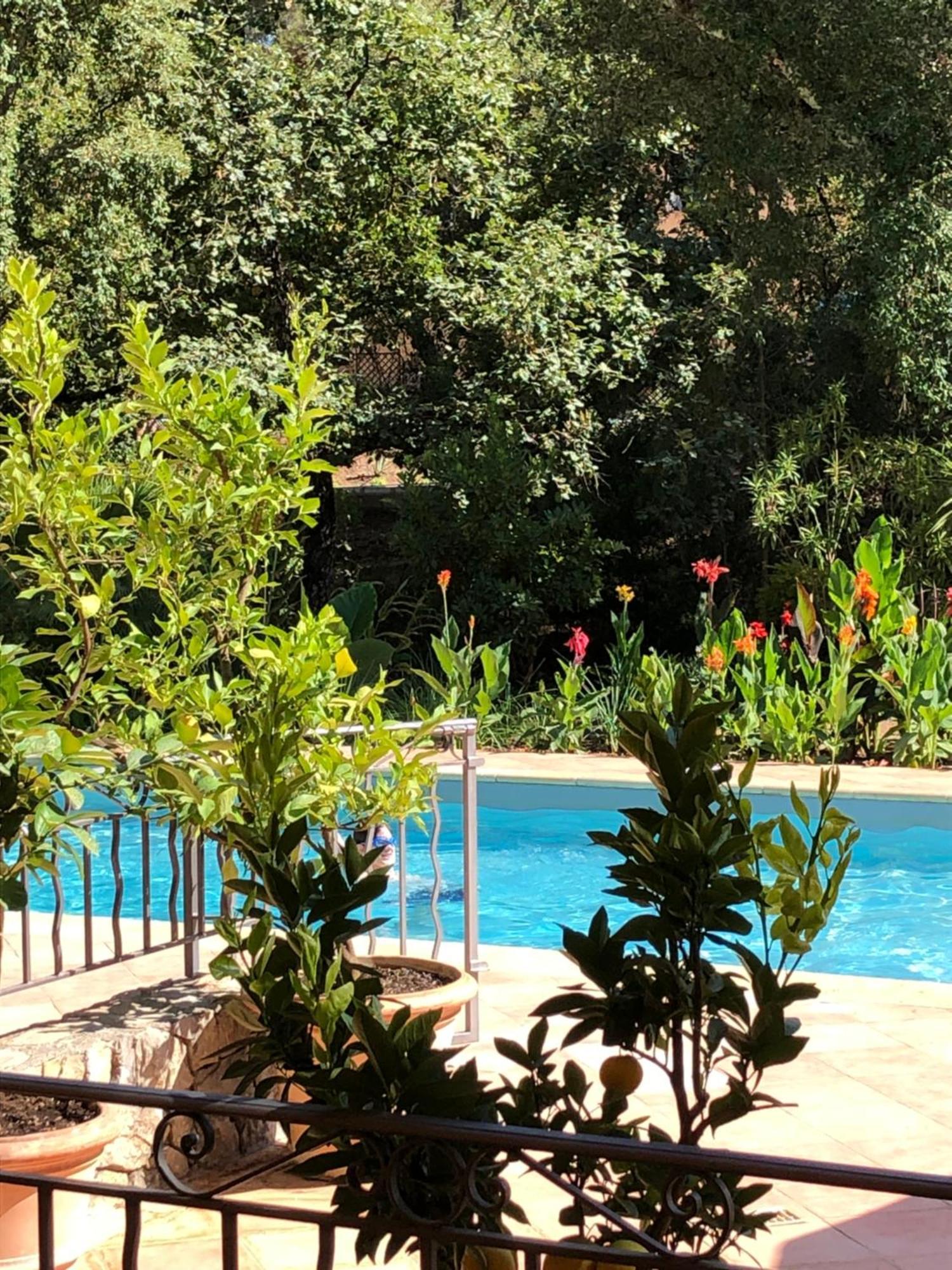 Sous Les Pins Parasols Vidauban Exterior photo