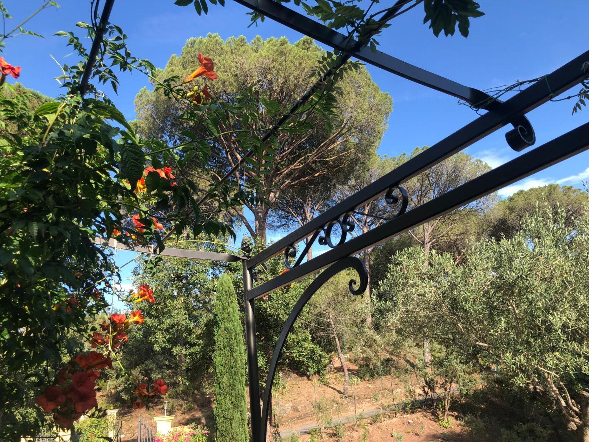 Sous Les Pins Parasols Vidauban Exterior photo