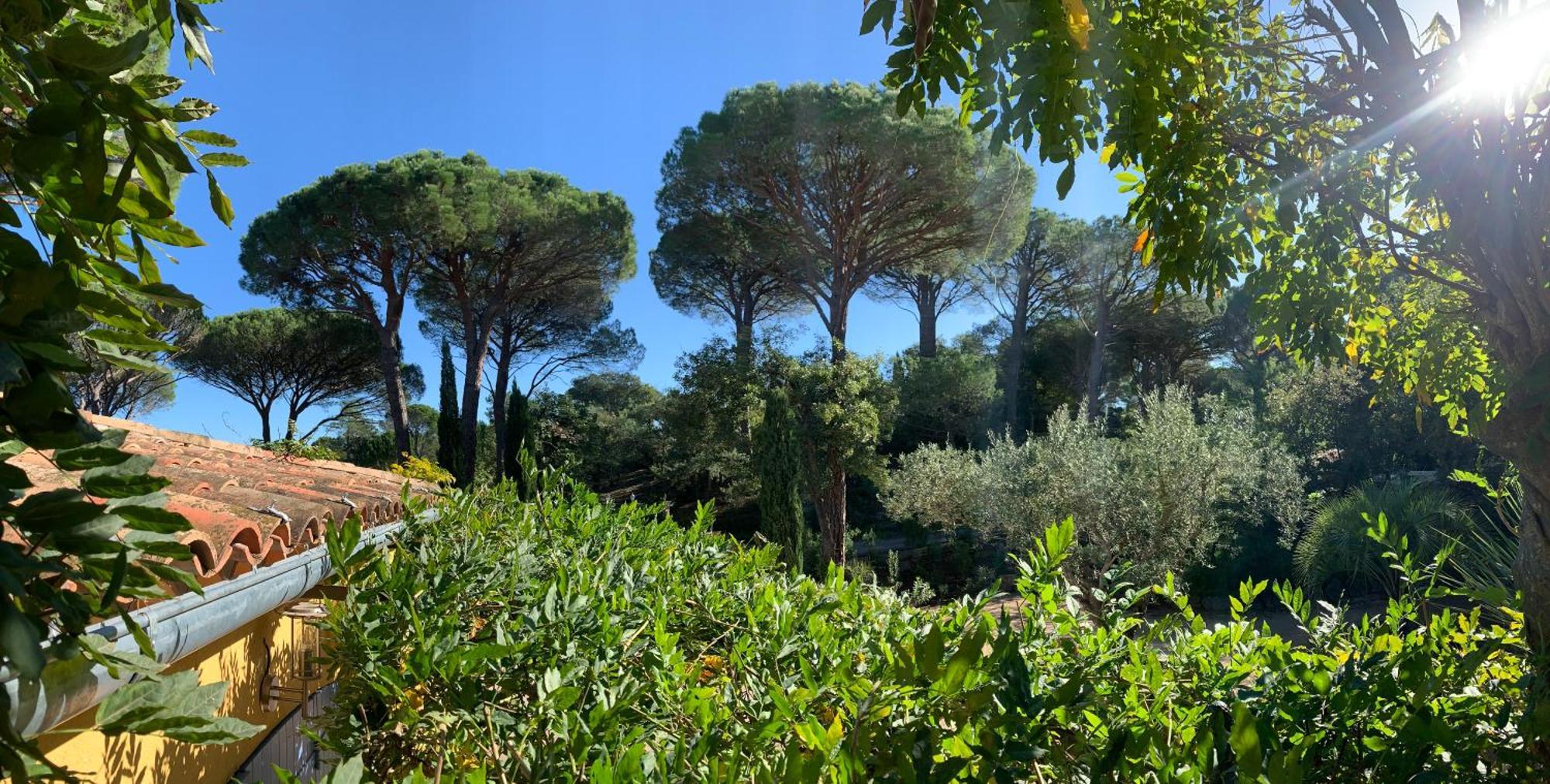 Sous Les Pins Parasols Vidauban Exterior photo