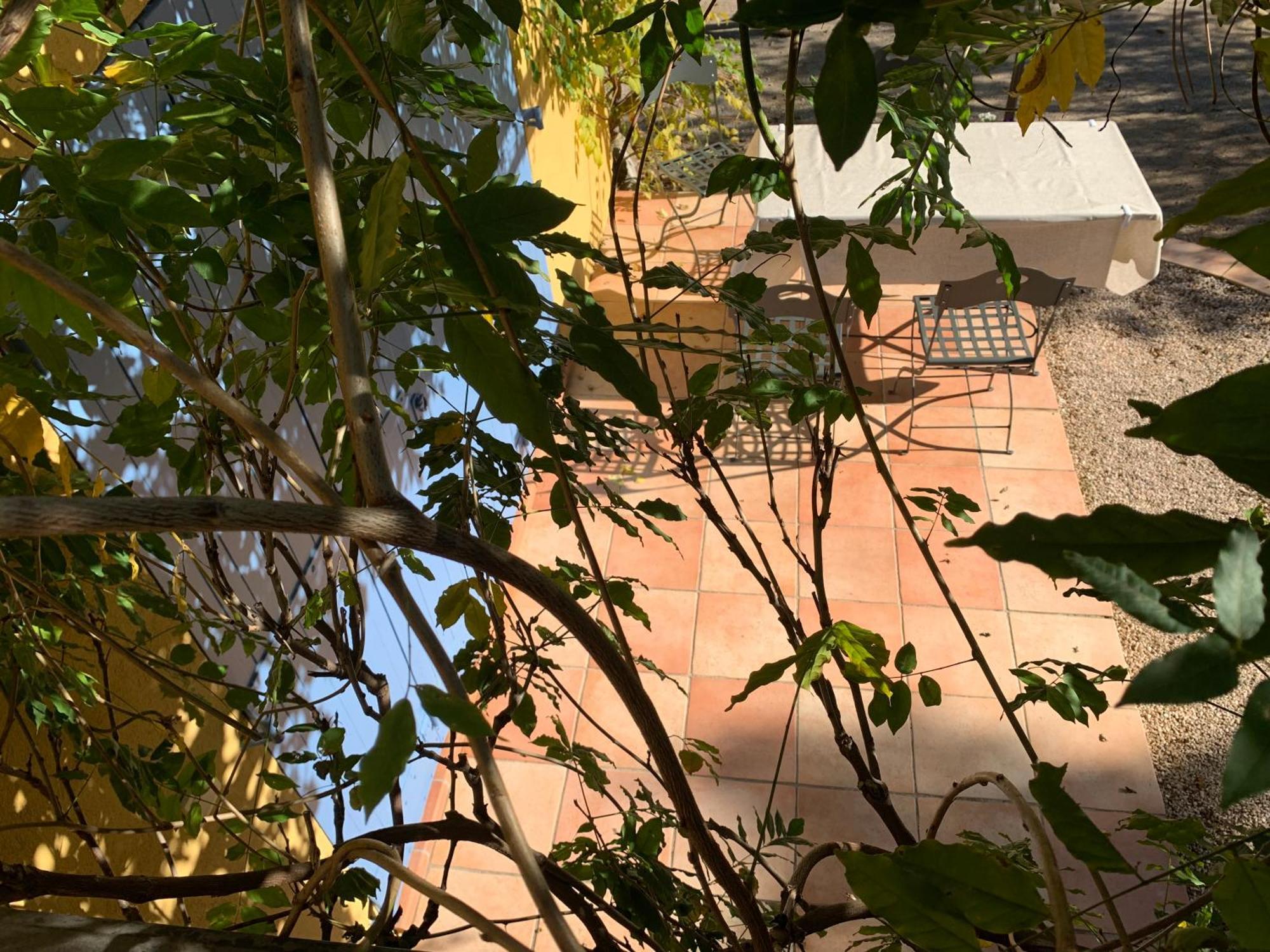 Sous Les Pins Parasols Vidauban Exterior photo